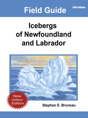 cover image of Icebergs of Newfoundland and Labrador